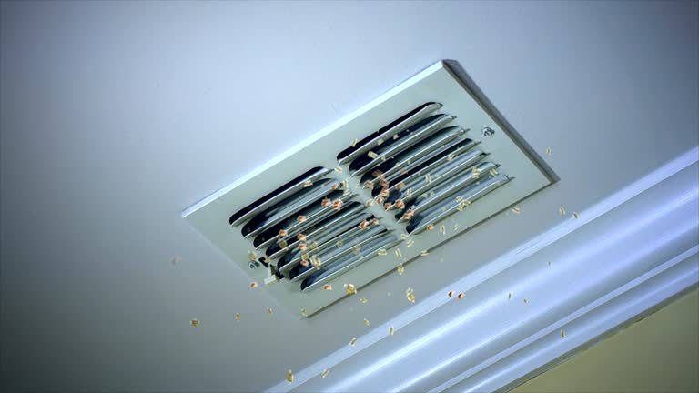 Best Home Air Vent Cleaning  in Prieville, NC