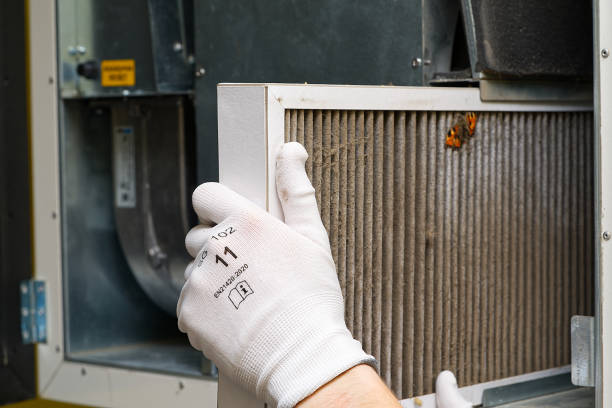 Best Residential Air Duct Cleaning  in Prieville, NC