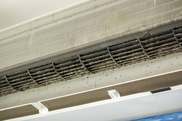 Best Affordable Duct Cleaning Services  in Prieville, NC