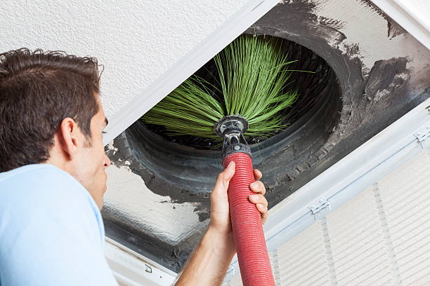 Best Local Air Duct Cleaning Services  in Prieville, NC